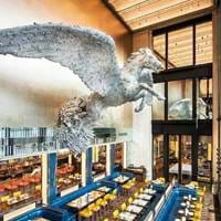 The Pegasus at Brasserie of Light