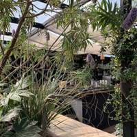 The Roof Garden at The CLF Art Lounge